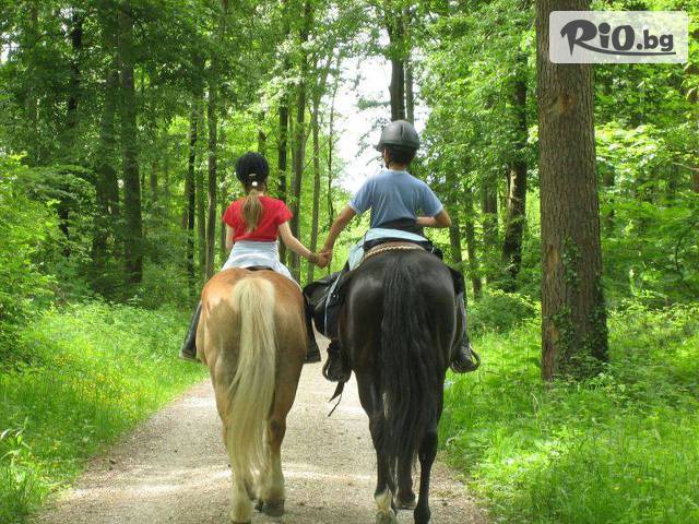 Конна база Нова Звезда - thumb 4 Конна база Нова Звезда - thumb 4