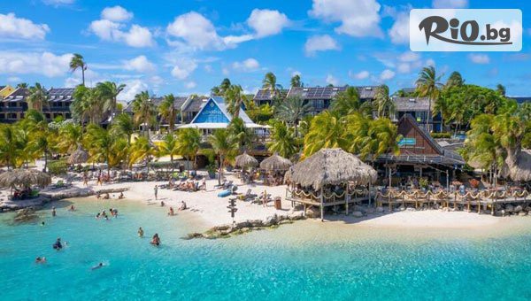 Арена Холидейз - thumb 1