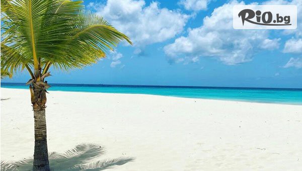 Арена Холидейз - thumb 2