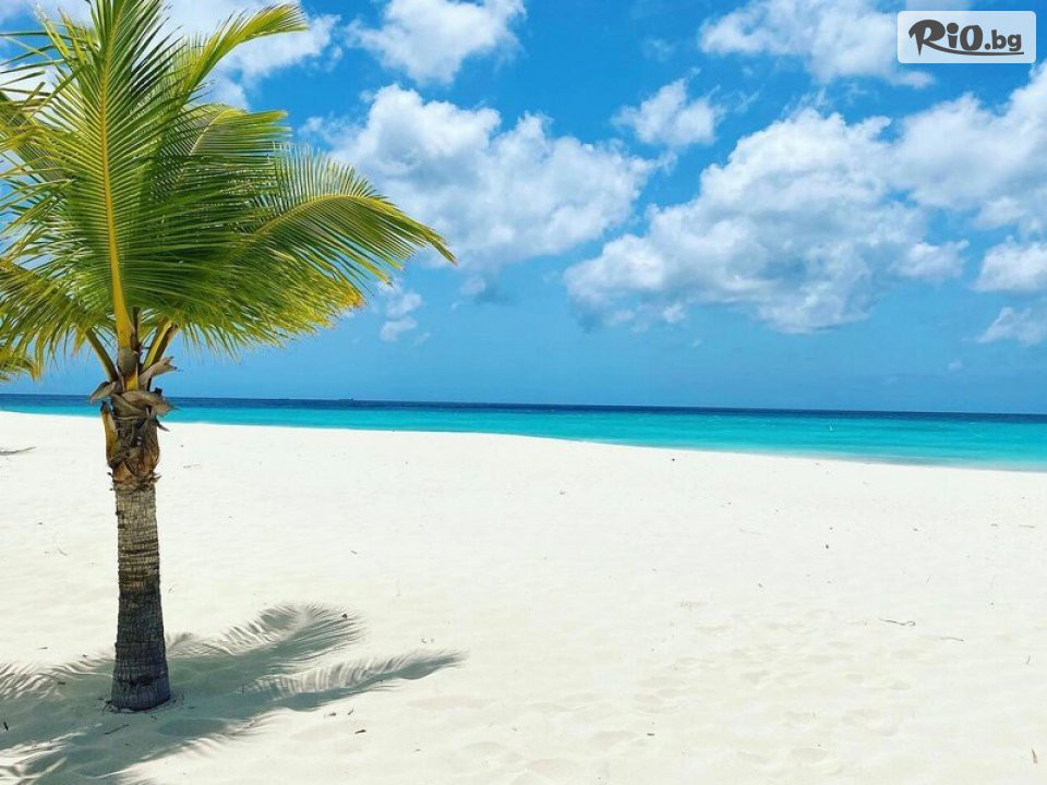 Арена Холидейз - thumb 1