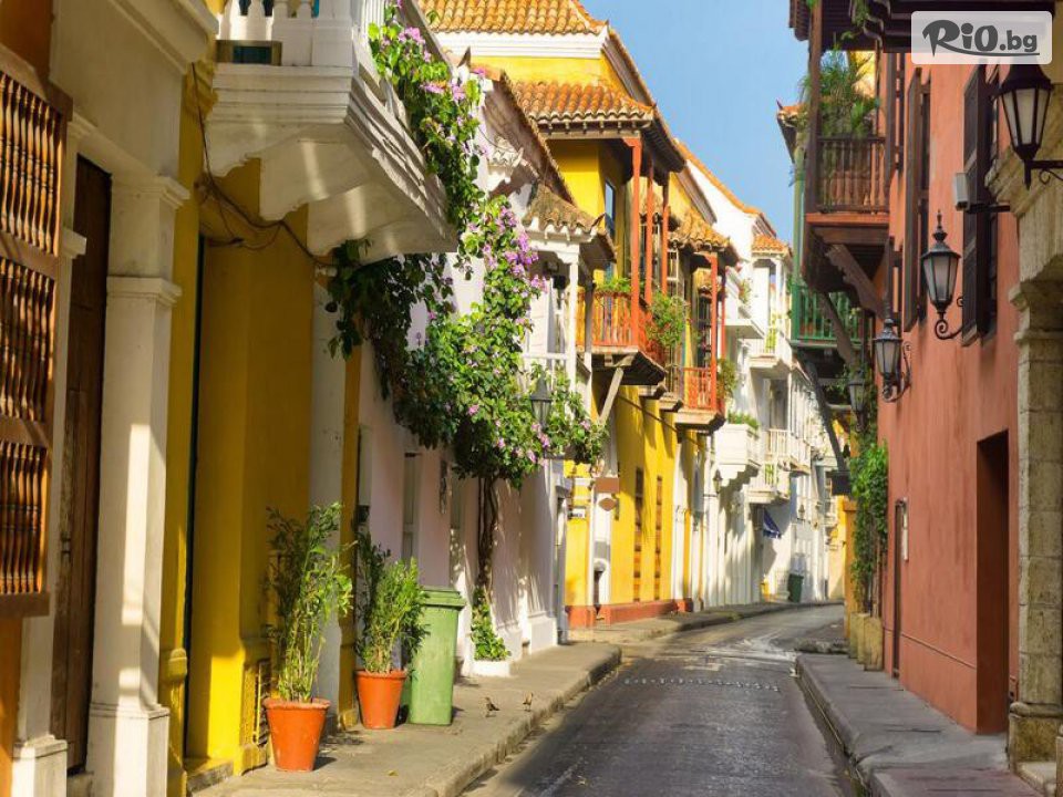 Арена Холидейз - thumb 5