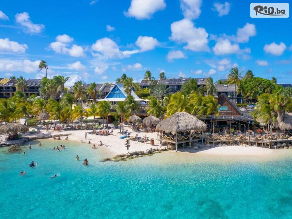 Арена Холидейз - thumb 6