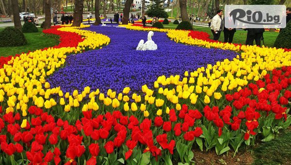 Комфорт Травел - thumb 3