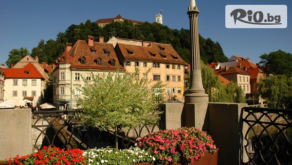 Вени Травел - thumb 4