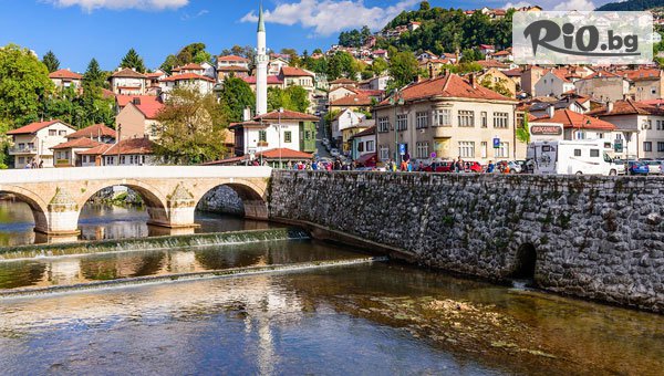 Глобул Турс - thumb 4