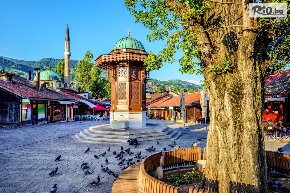 Глобул Турс - thumb 1