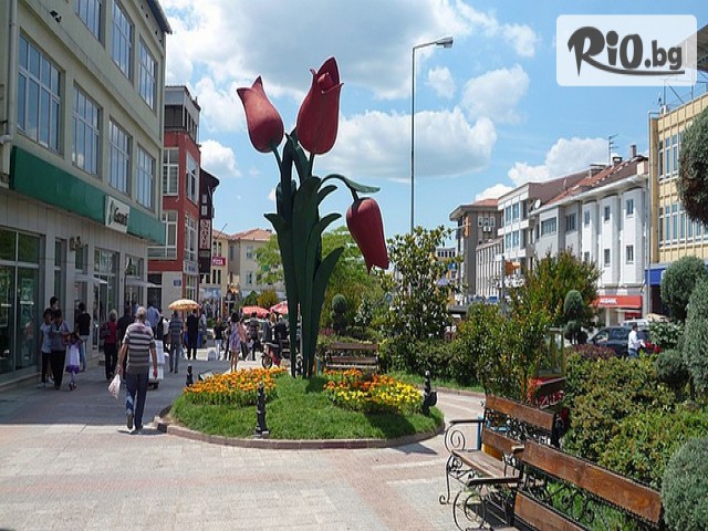 Рикотур - thumb 3