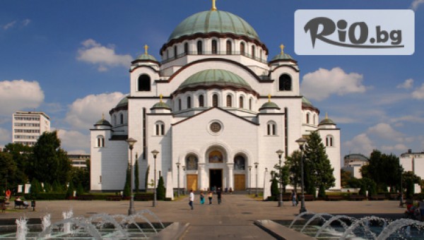 ТА Бамби-М Тур - thumb 3