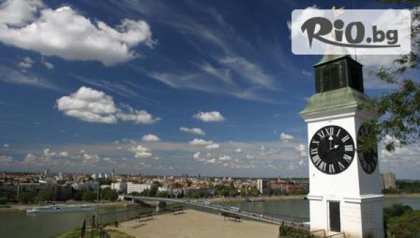 ТА Бамби-М Тур - thumb 6