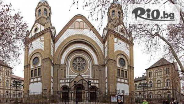 ТА Бамби-М Тур - thumb 7