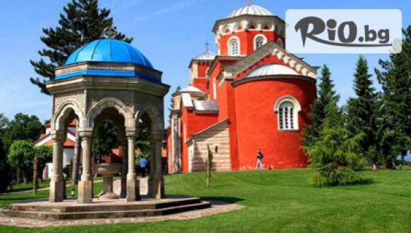 ТА Бамби-М Тур - thumb 8