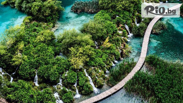 Дорис Травел - thumb 5