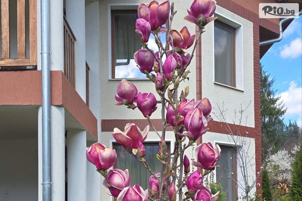 Къща за гости Почивка - thumb 5 Къща за гости Почивка - thumb 5