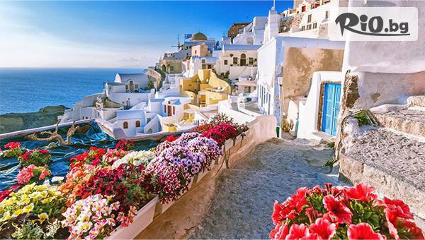 Океан Травел - thumb 7