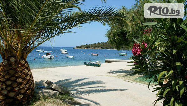 Дениз Травел - thumb 2