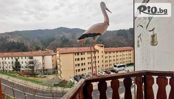 Семеен еко хотел Бялата къща - thumb 12