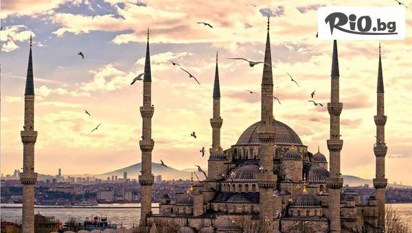 Дениз Травел - thumb 5