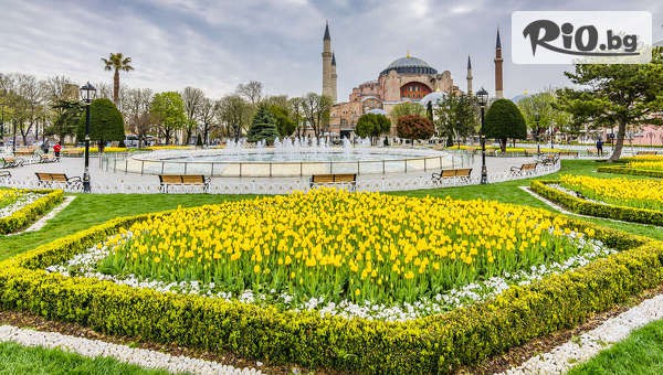 Спарк Травел - thumb 3