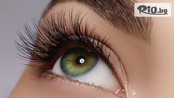 Студио Avangard - thumb 3