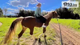 Конна езда за до трима около Банкя #1