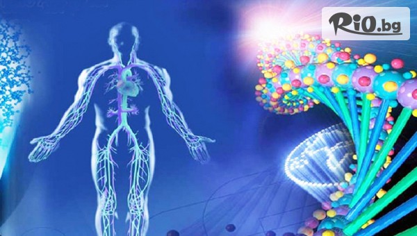 Център Божествена Светлина - thumb 3