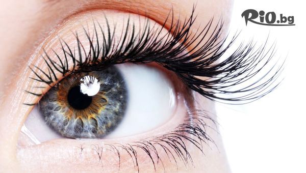 Салон Мадейра - thumb 3