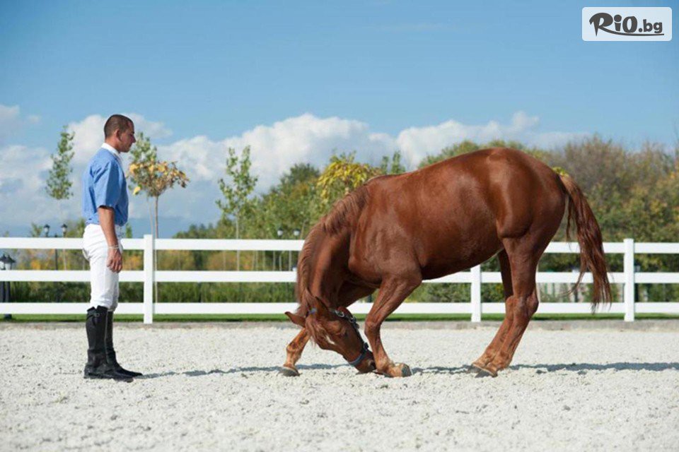 Бутиков комплекс Тракиец - thumb 7 Бутиков комплекс Тракиец - thumb 7