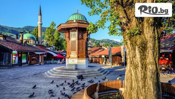 Дорис Травел - thumb 2