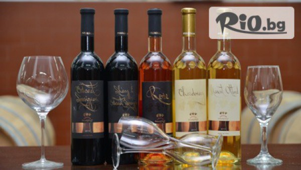 Шато-хотел Trendafiloff 3* - thumb 3