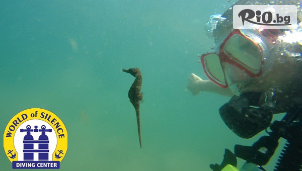 Светът на мълчанието - thumb 2