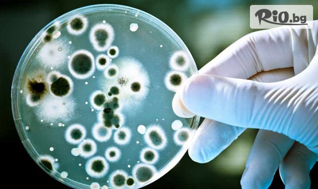 СМДЛ Кандиларов - thumb 2