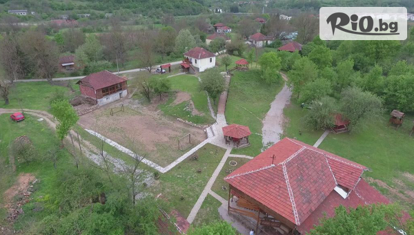 Арива травъл - thumb 2