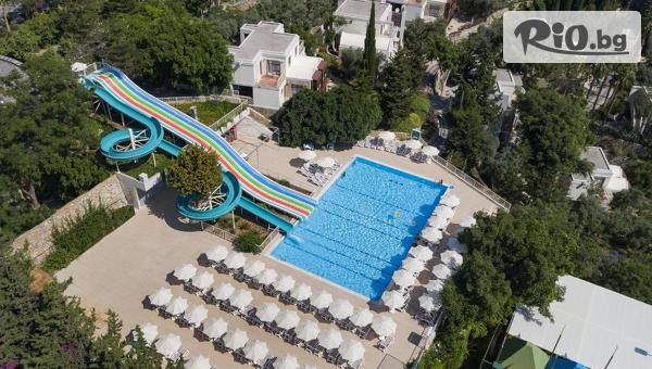 Мисис Травъл - thumb 2