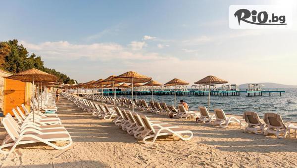 Мисис Травъл - thumb 4