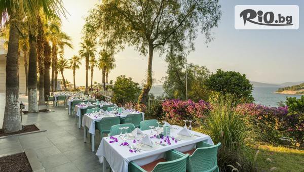 Мисис Травъл - thumb 5