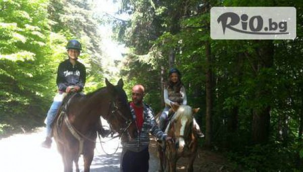 Конна база "" Драгалевци" - thumb 3