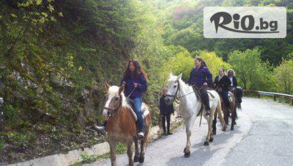 Конна база "" Драгалевци" - thumb 4