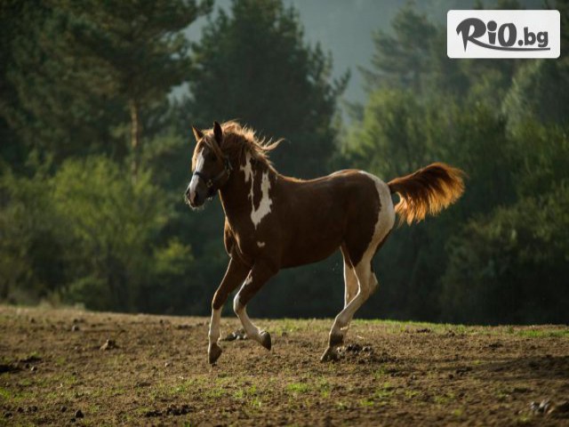 Приключенска къща Русалиите - thumb 6 Приключенска къща Русалиите - thumb 6