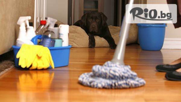 ИВРА 2013 - thumb 4