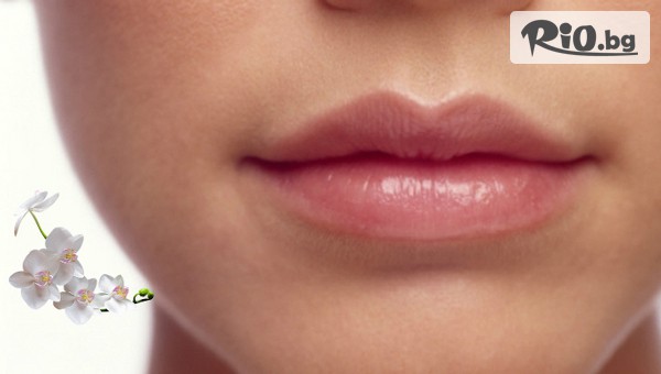 Салон Орхидея - thumb 3