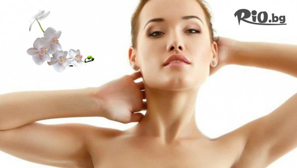 Салон Орхидея - thumb 4