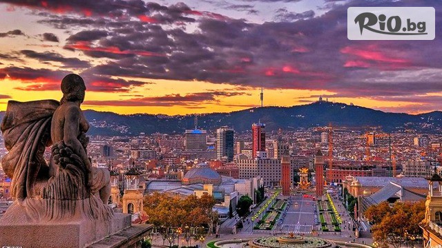 Солвекс - thumb 3 Солвекс - thumb 3