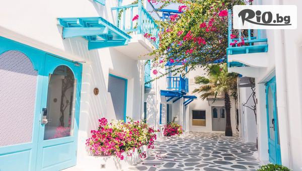 Солвекс - thumb 4