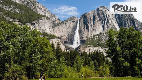 Арена Холидейз - thumb 3