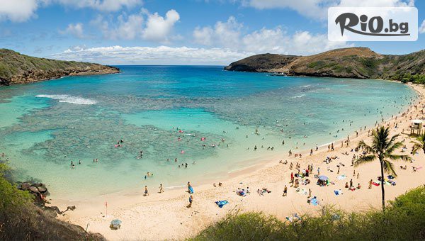 Арена Холидейз - thumb 5