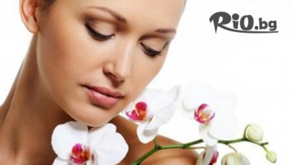 Beauty"s Way - thumb 2