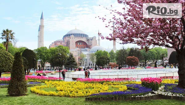 Йонека турс - thumb 5