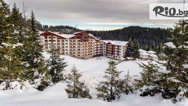 Празнувай Нова година с почивка в Родопите! 3 или 4 нощувки за до трима със закуски и вечери, едната Празнична + закрит басейн и релакс зона, от Комплекс Forest Nook, Пампорово