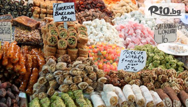 Danna Holidays - thumb 3