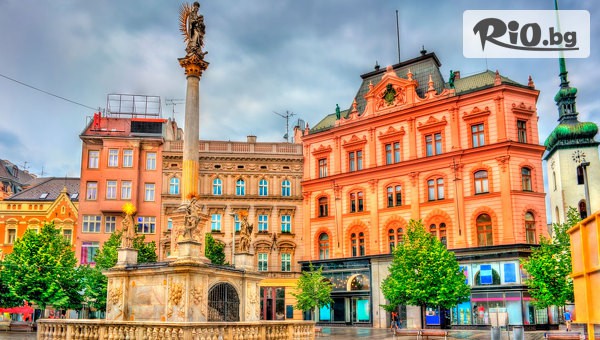 Вени Травел - thumb 3